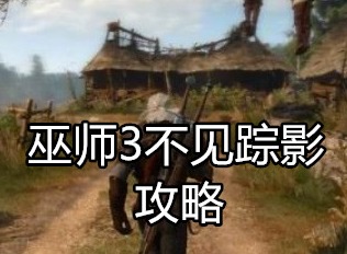 巫师3中的不见踪影任务 不见踪影任务攻略
