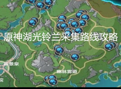 原神湖光铃兰在哪采集 原神湖光铃兰采集路线攻略