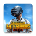 pubg亚服手游