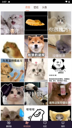 猫语翻译器