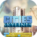 cities skylines