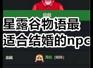 星露谷和谁结婚收益最大 星露谷物语最适合结婚的npc