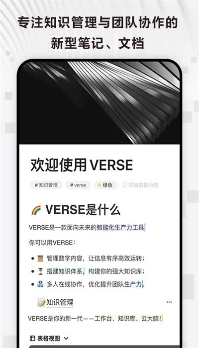 Verse文档